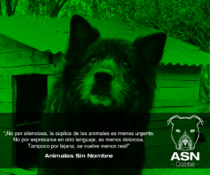 Logo Design by Cristhiam92 for Fundación por los Animales sin Nombre | Design: #11213967