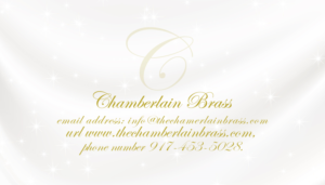 Business Card Design by Black Stallions Impressive Solutions for this project | Design #11207909
