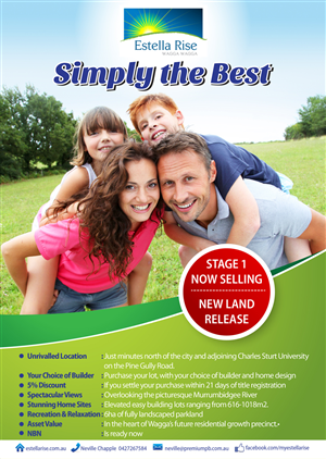 Flyer Design by Pinky 
