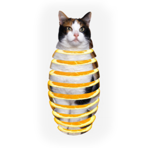 Photoshop Design Contest Submission #11314500