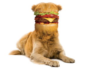 Photoshop Design Contest Submission #11174839