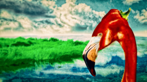 Photoshop Design by fjkp123
