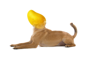 Photoshop Design Contest Submission #11208096