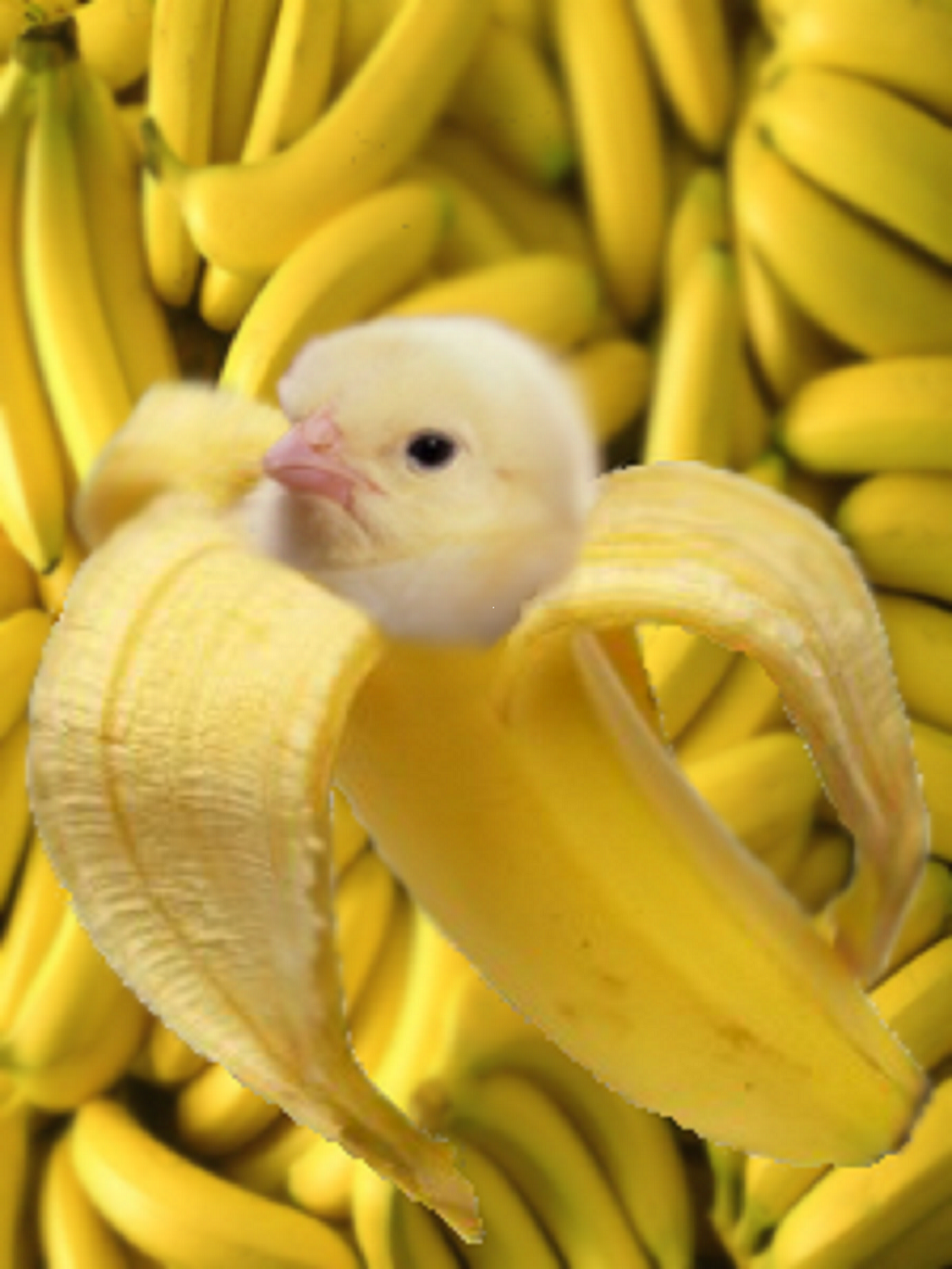 Diseño de Photoshop por bhoward1 para DesignCrowd (Community Contests) | Diseño #11237788