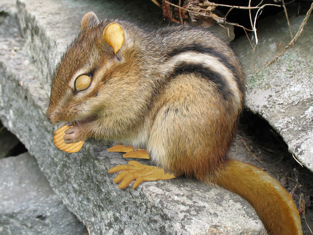 Diseño de Photoshop por jobrien1 para DesignCrowd (Community Contests) | Diseño #11299188