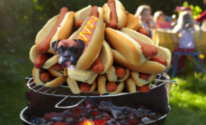 Photoshop Design Contest Submission #11209324