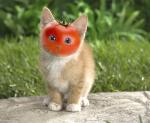 Photoshop Design Contest Submission #11211136