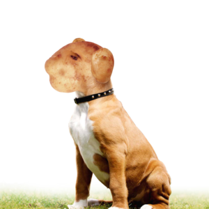 Photoshop Design Contest Submission #11289068