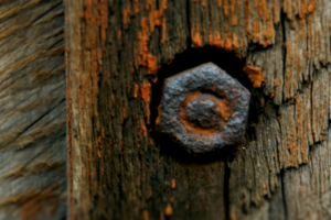 Photography by senja