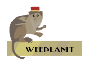 Logo-Design von highcloud für Weeplanit | Design: #11268489