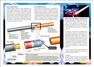 Brochure Design by dkthedon for 1958977 Ontario Inc | Design: #2352229