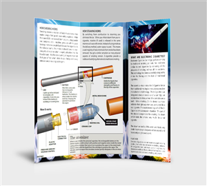 Brochure Design by dkthedon for 1958977 Ontario Inc | Design: #2352251