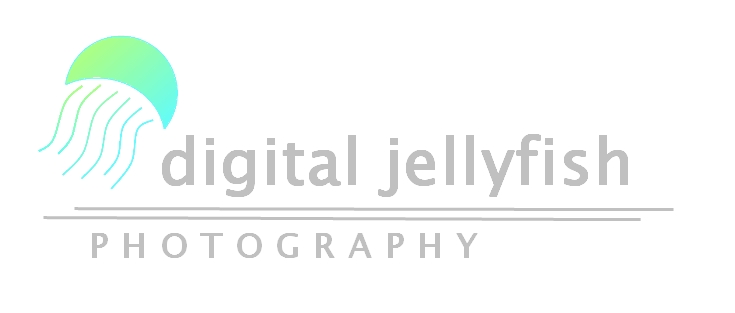 Logo Design by DDCustom for Digital Jellyfish | Design #22664