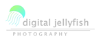 Logo Design by DDCustom