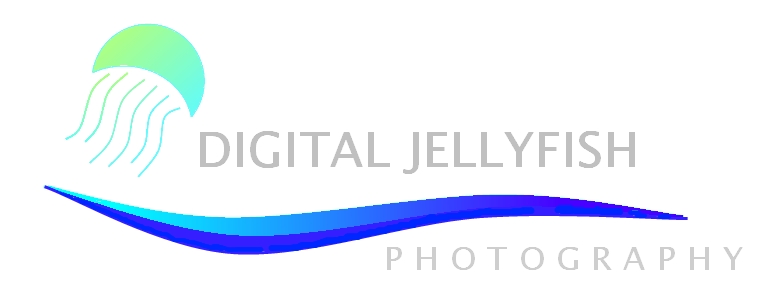 Logo Design by DDCustom for Digital Jellyfish | Design #22667