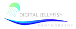 Logo Design by DDCustom for Digital Jellyfish | Design: #22667