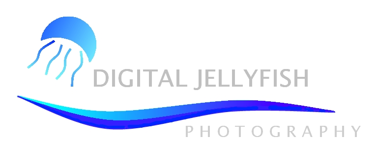 Logo Design by DDCustom for Digital Jellyfish | Design #22672
