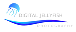 Logo Design by DDCustom for Digital Jellyfish | Design: #22672