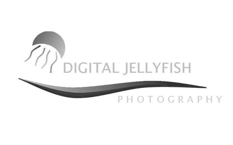 Logo Design by DDCustom for Digital Jellyfish | Design #22673