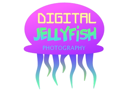 Logo Design by DDCustom for Digital Jellyfish | Design #22676