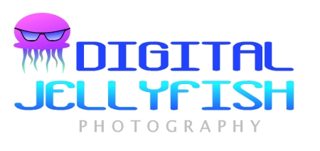 Logo Design by DDCustom for Digital Jellyfish | Design #22679