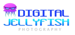 Logo Design by DDCustom for Digital Jellyfish | Design: #22679