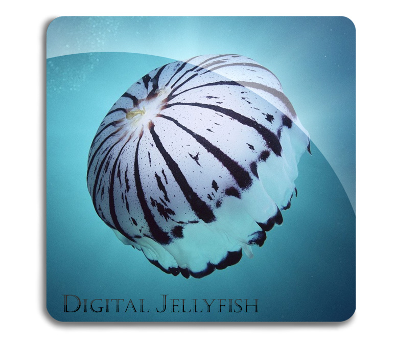 Logo-Design von - für Digital Jellyfish | Design #22913