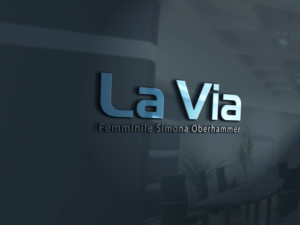 Logo Design by logomaster24 for HNS Web GmbH | Design: #11217342