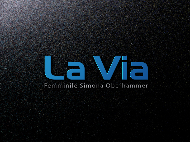 Logo Design by logomaster24 for HNS Web GmbH | Design #11217344