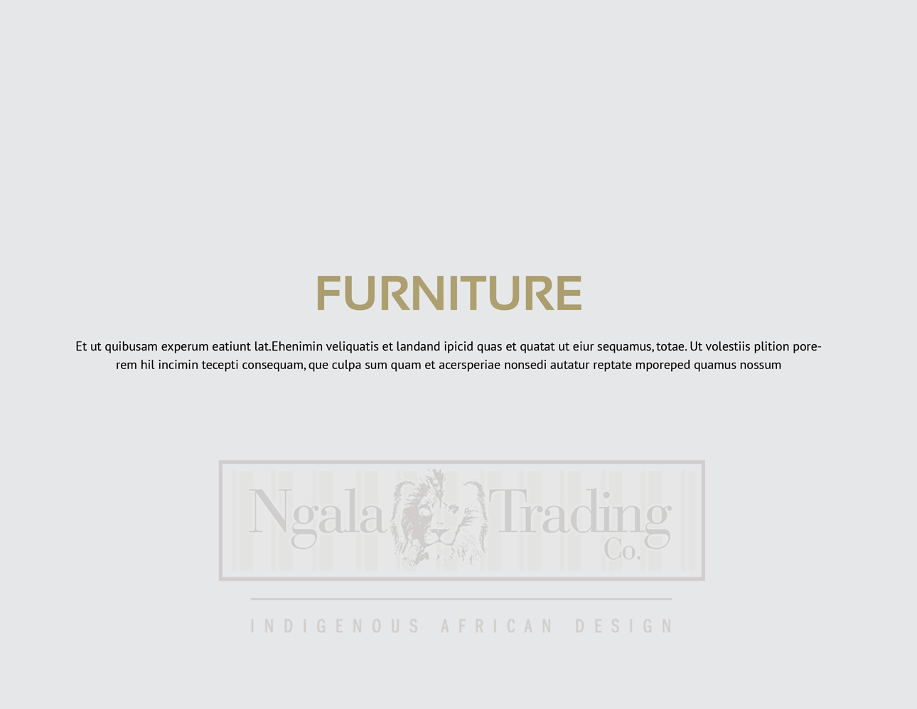 Brochure Design by iTech Graphics for Ngala Trading Co | Design #11201486