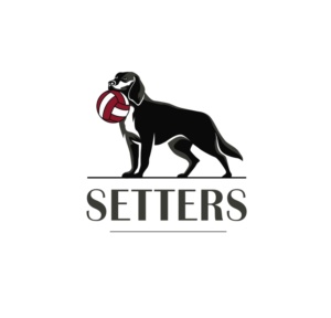 Logo Design by kavish for this project | Design: #11266332