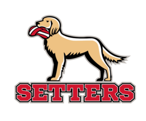 SETTERS | Logo Design by patrimonio