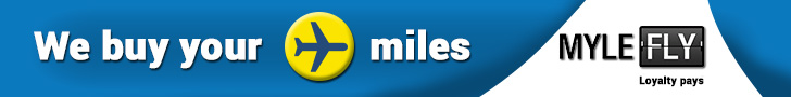 Diseño De Banner Publicitario por Olia Kashyna para MyleFly | Diseño #11230144