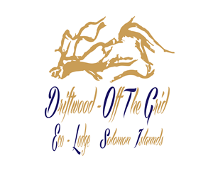 Logo Design by Udioica