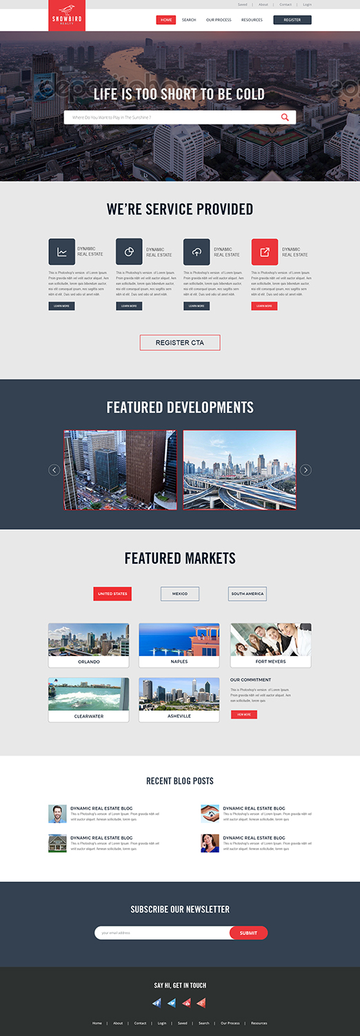 Diseño Web por the-lion-king para Ronek Enterprises | Diseño #11344171