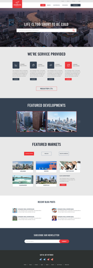 Web Design by the-lion-king for Ronek Enterprises | Design: #11344171