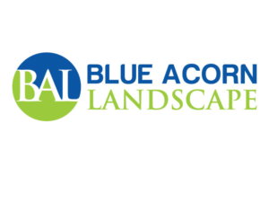 Logo Design by DESIGN Services JK for Blue Acorn Landscape | Design: #11245591