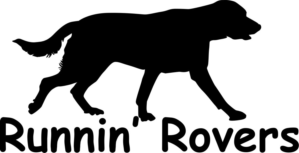 Logo Design by shape line
