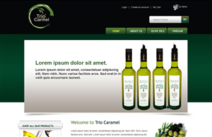 Web Design by pb for this project | Design: #511477