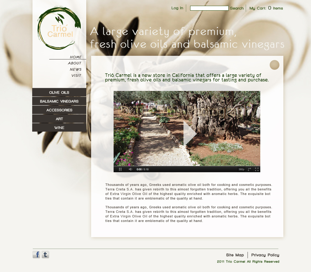 Web Design by Ilona Maslioukovskagia for this project | Design #503061