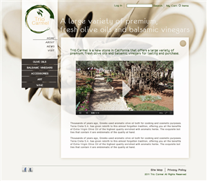 Web Design by Ilona Maslioukovskagia for this project | Design: #503061