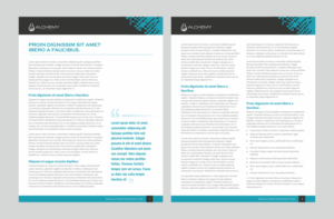 Company Brochure / Data Sheet Template Design | Brochure Design by nng