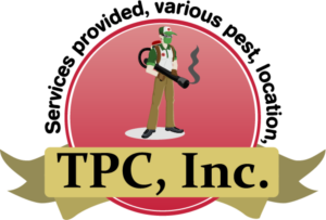 Logo Design by mcmonog