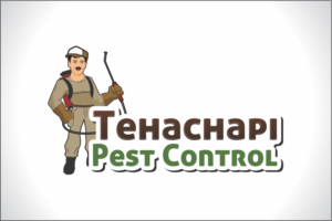 Logo Design by Robert Macwan