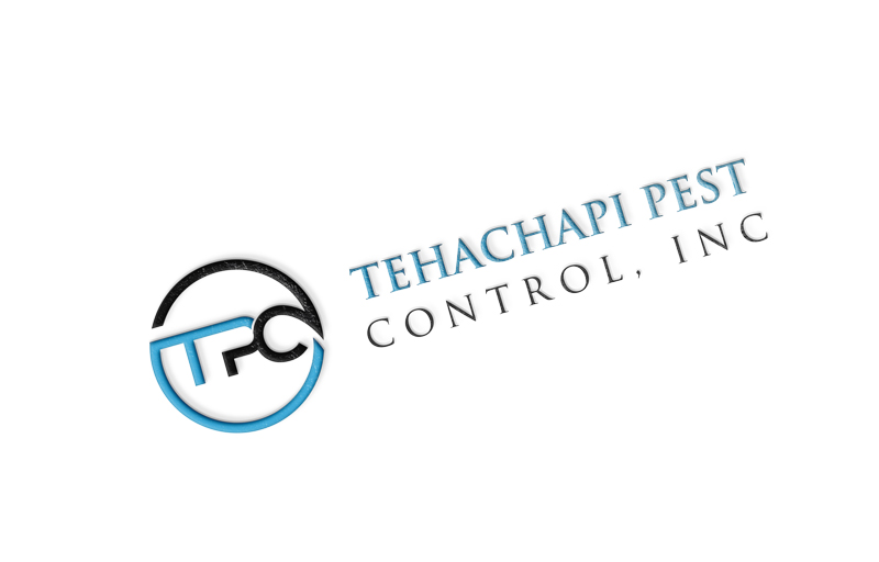 Design de Logo par Mehedi Hasan ™ pour ce projet | Design #11257189