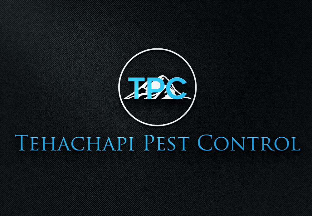 Design de Logo par Design Kolektiv pour ce projet | Design #11260195