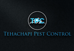 Design de Logo par Design Kolektiv pour ce projet | Design : #11260195