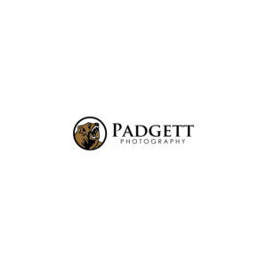 Design de Logo par Mbembet pour ce projet | Design : #11339700