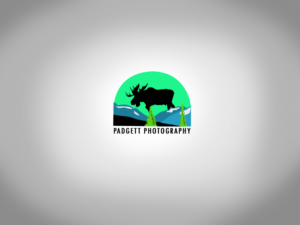 Logo Design by Astrofx for this project | Design: #11301622