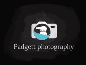 Logo Design by sam han for this project | Design #11355712